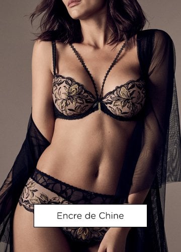 Encre de Chine
